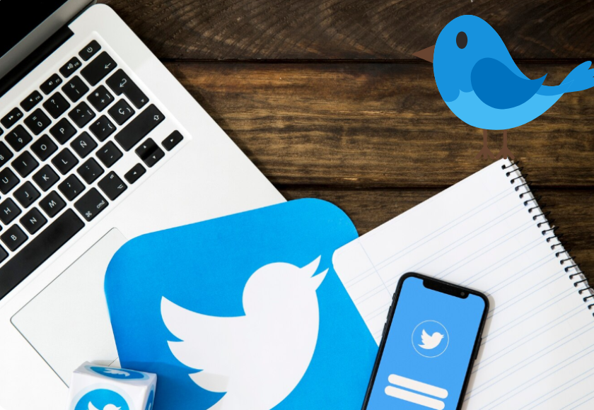 Strategies for social media follower growth – Octopus Marketing